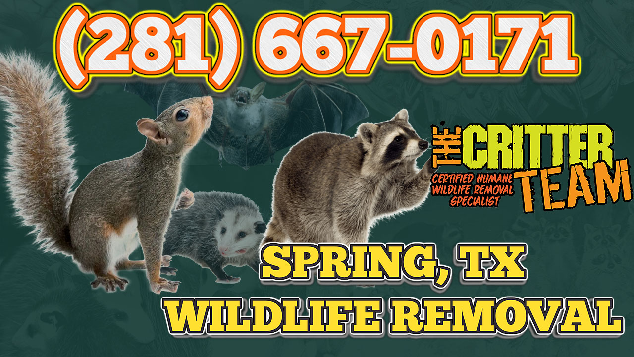 The Critter Team (Spring TX/ The Woodlands Texas)