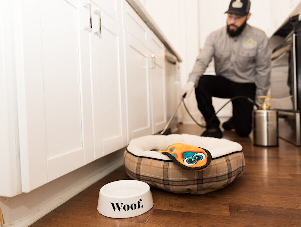 Naturalcare Pest Control